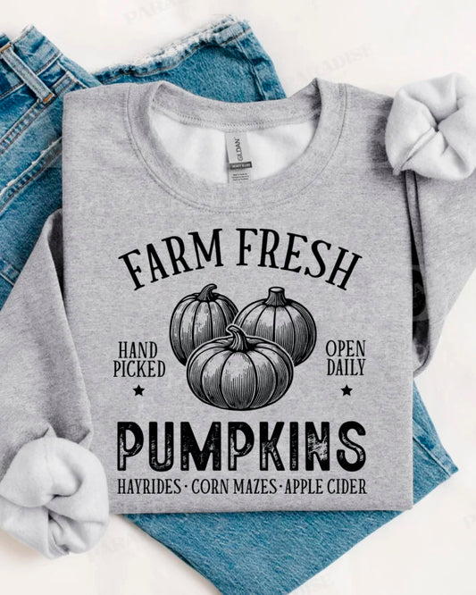 FARM FRESH PUMPKINS SWEATERS