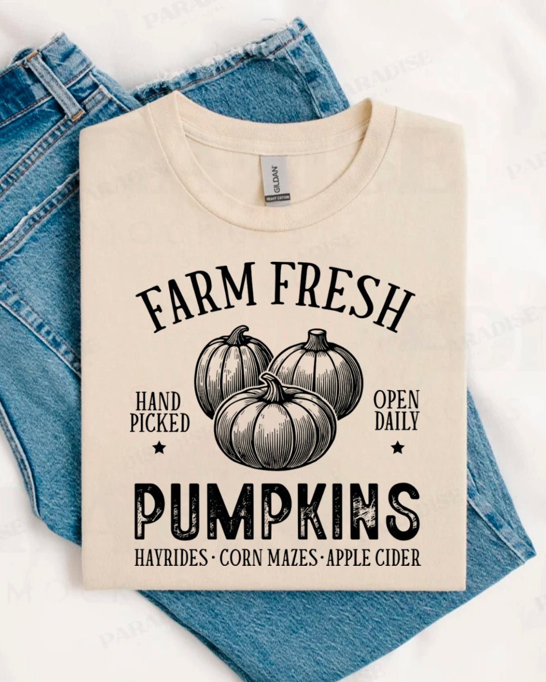 FARM FRESH PUMPKINS  SHIRT