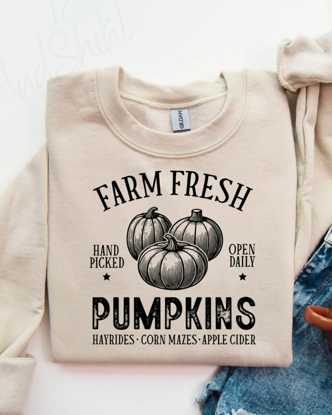 WONDERFUL TIME SWEATERS