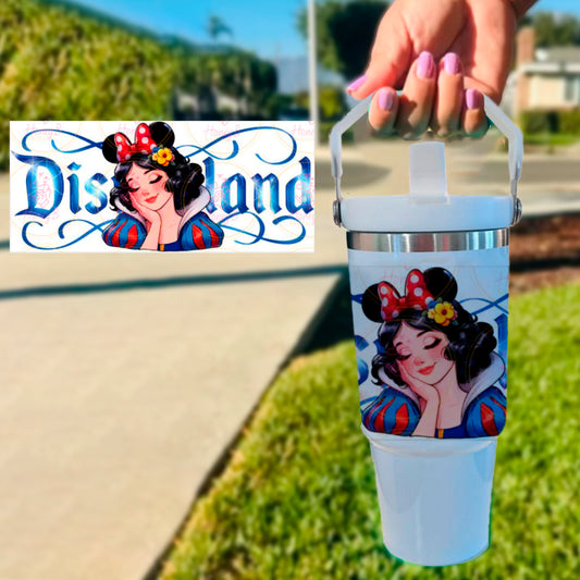 DREAM PRINCESS 6 TUMBLER 30oz